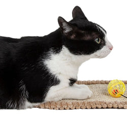 Pet Life Eco-Natural Sisal And Jute Hanging Carpet Kitty Cat Scratcher Lounge With Toy